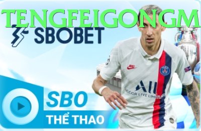 spinwin game app for Pakistan players